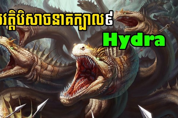 Kraken ссылка kraken clear com