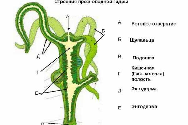 Кракен маркет что