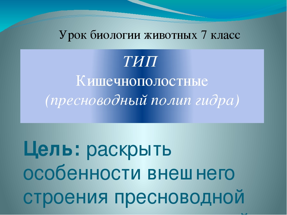 Craken14 at