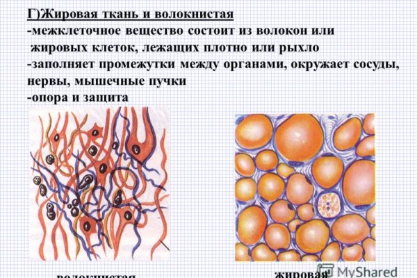 Как зайти на кракен с компа