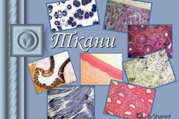 Как восстановить кракен