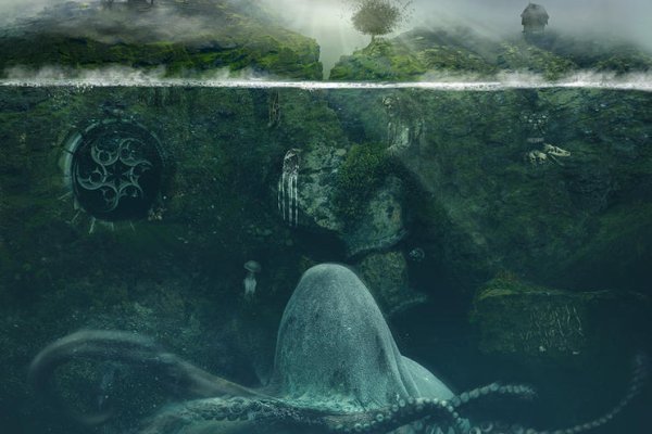 Kraken kraken link24 info