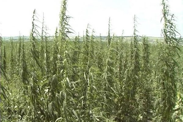 Кракен не грузит