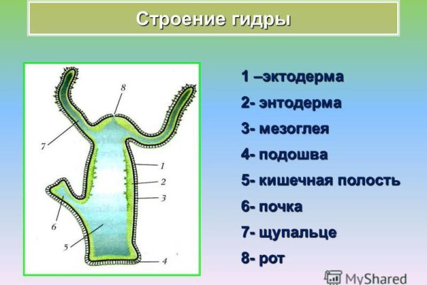 Kraken даркнет gigageek ru